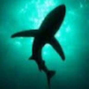 Meet your Posher, Clarkfisher